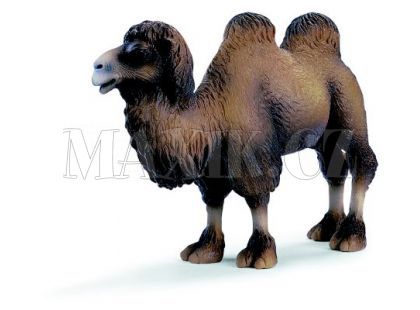 Schleich 14348 Velbloud Dvouhrbý
