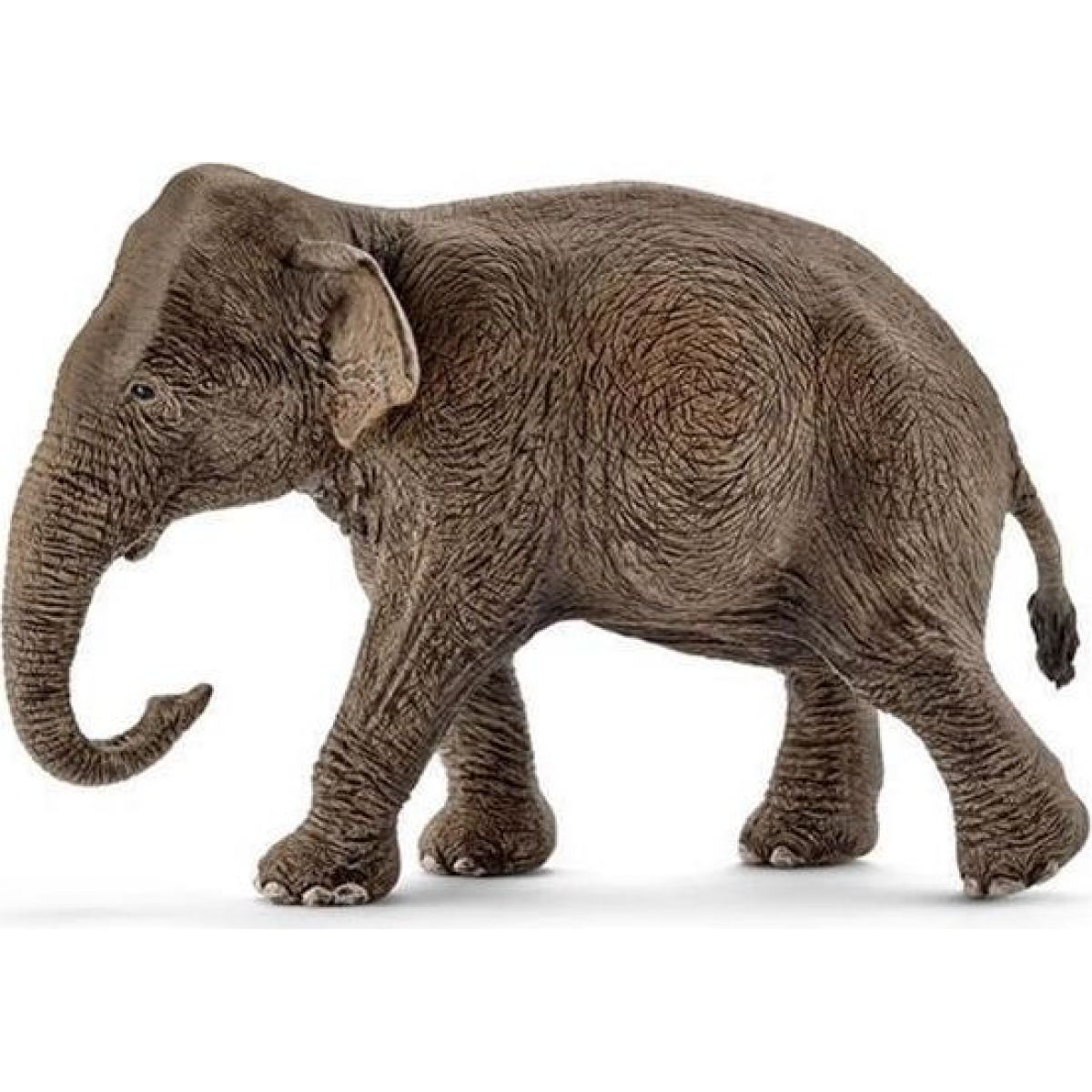 Schleich 14753 Asijský slon samice