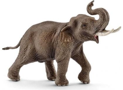 Schleich 14754 Asijský slon samec