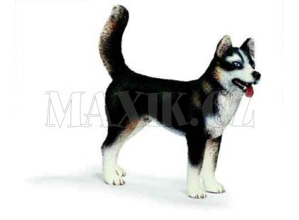 Schleich 16371 Pes Husky