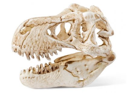 Schleich 42259 Prehistoričtí predátoři a lebka T-Rexe