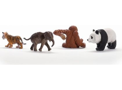 Schleich 42736 Startovací set Wild Life Asie