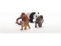 Schleich 42736 Startovací set Wild Life Asie 2