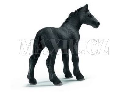 Schleich Kůň - Percheronské hříbě