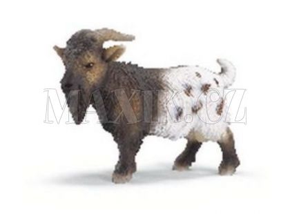 Schleich Kozel zakrslý