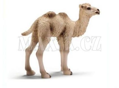 Schleich Velbloud dvouhrbý - mládě