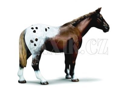 Schleich Zvířátko - hřebec Appaloosa