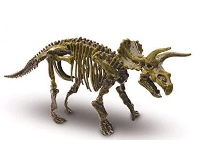 SES Kostra Triceratops