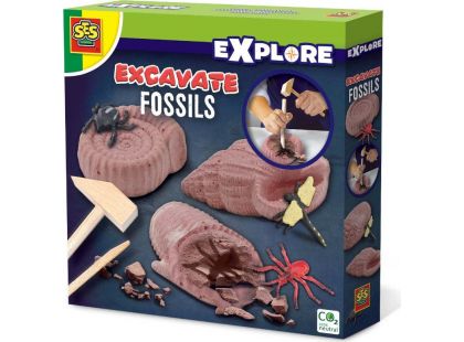 SES Vykopávky fosilií