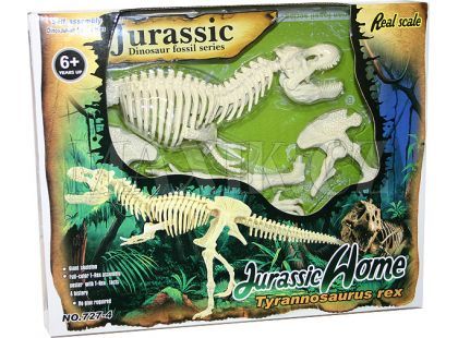 skeleton Tyranosaurus Rex