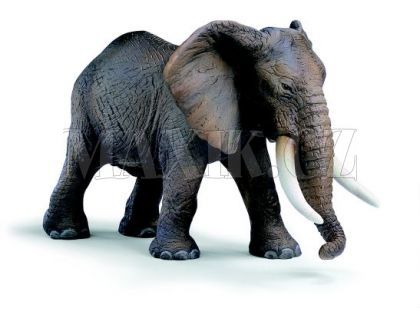 Slon Africký Schleich 14341