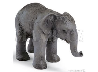 Slon Indický slůně Schleich 14343