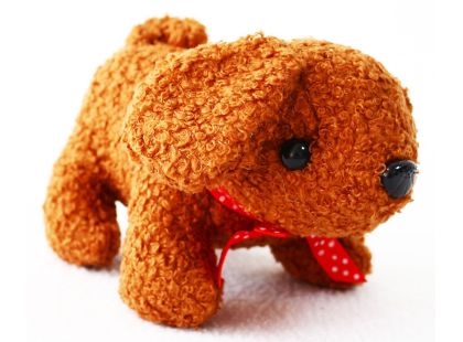 Sparkys Plyšový mazlíček v přepravce - sada 15 ks zelená