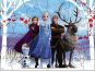 Spin Master Frozen 2 puzzle 5