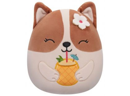 Squishmallows Corgi s drinkem - Regina 20 cm