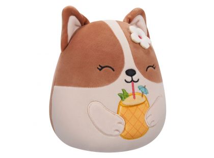 Squishmallows Corgi s drinkem - Regina 20 cm