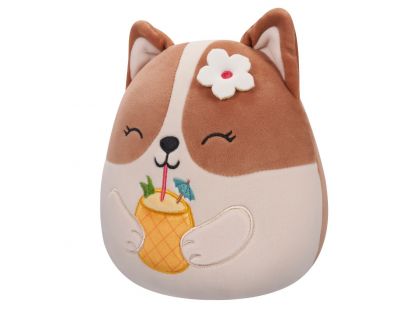 Squishmallows Corgi s drinkem - Regina 20 cm