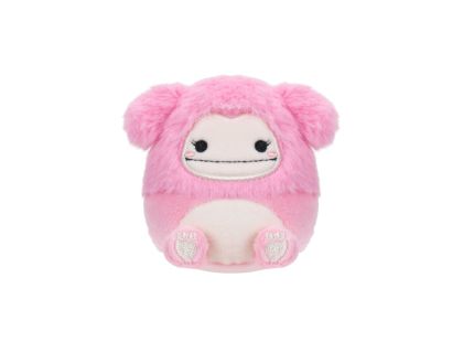 Squishmallows Micromallows 4Pack - Mýval, Bigfoot, Ara, Skořicová rolka