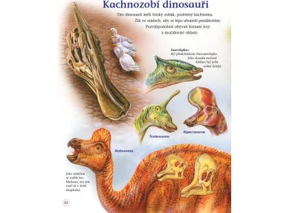 Sun Dinosauři a prehistorický svět