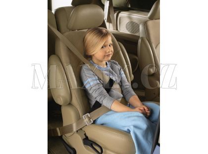 Sure Fit Sunshine Kids 10150