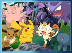 Svět Pokémonů 300 dílků