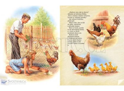 Svojtka Příběhy z našeho statku