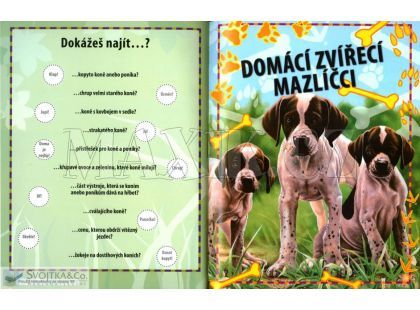 Svojtka Velká kniha samolepek pro holky