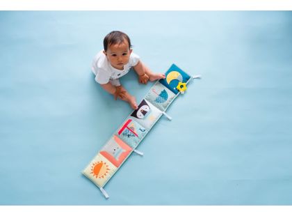 Taf Toys Knížka pro nejmenší Severní pól - Poškozený obal