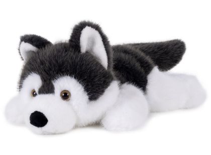 Teddies Pes husky ležící plyš 30cm 0m+