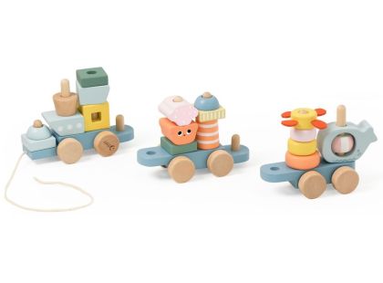 Teddies Vlak + 2 vagóny oceán dřevo tahací stavebnice 28 dílků v krabici 38x12x8cm 12m+