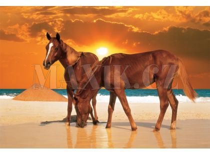Trefl Puzzle Koně na pláži 1500 dílků