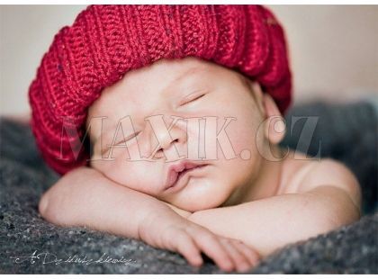 Trefl Puzzle Malí spáči 500 dílků