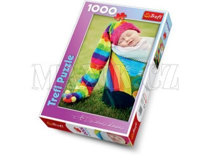 Trefl Puzzle Sen o duze 1000 dílků