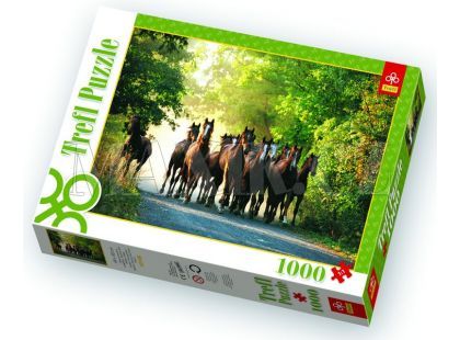 Trefl Puzzle Stádo anglických plnokrevních koní 1000 dílků