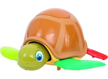 Turtle Fun