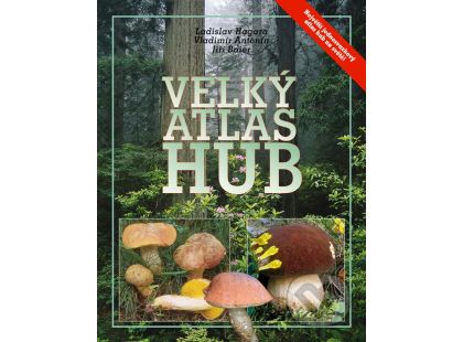 Velký atlas hub