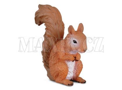 Veverka červená - figurka Collecta