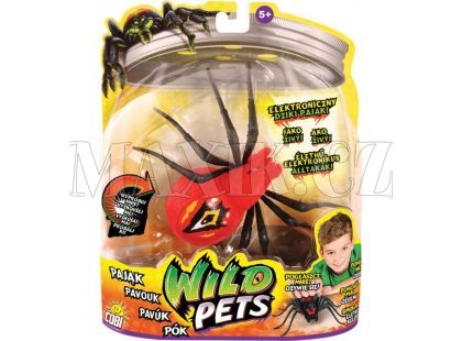 Wild Pets Pavouk - Eyegore červený