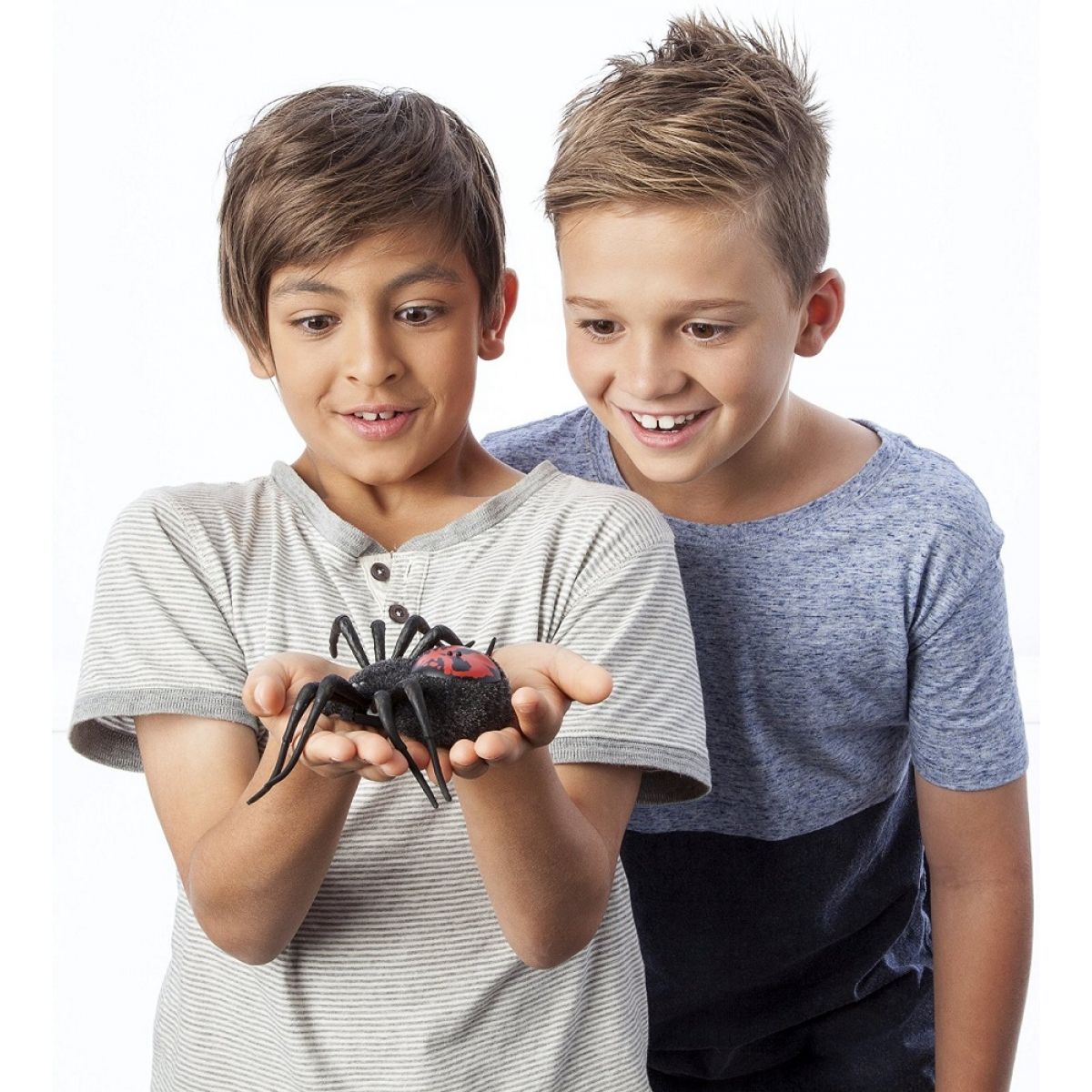 Good wild pets. Интерактивный паук Wild Pets. Wild Pets паук. Интерактивная игрушка робот Moose Wild Pets Spider паук 29001.