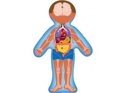 Woody Puzzle Lidské tělo - Kluk CZ