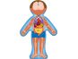 Woody Puzzle Lidské tělo - Kluk CZ 3