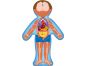Woody Puzzle Lidské tělo Kluk 13 dílků SK verzia 3