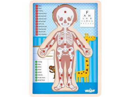Woody Puzzle Lidské tělo Kluk 13 dílků SK verzia