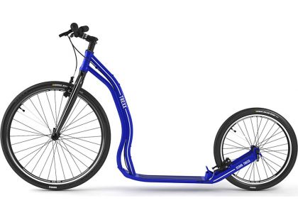 Yedoo Koloběžka Alloy Trexx blue