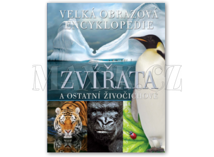 Zvířata a ostatní živočichové