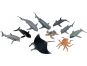 Zvířátka mořská 10 ks mobilní aplikace pro zobrazení zvířátek 2