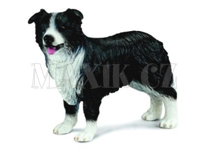 Zvířátko - Černobílá kolie Schleich