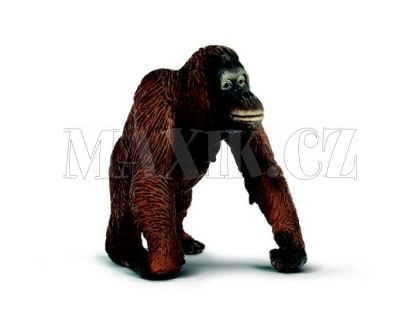 Zvířátko - orangutanka Schleich