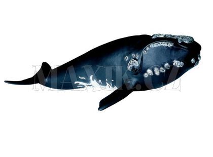 Zvířátko - velryba černá Schleich